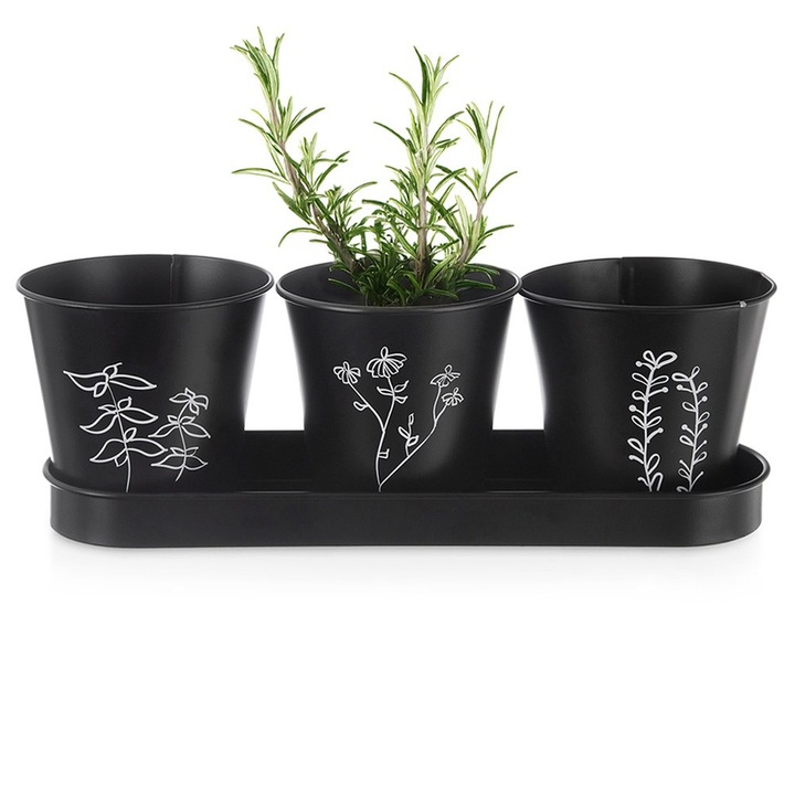 Set De ghivece Pentru Ierburi, Orion, Blackline, Metal, 3 Bucati, Cu Farfurie, Diametru 11 cm, Inaltime 10.5 cm, Negru