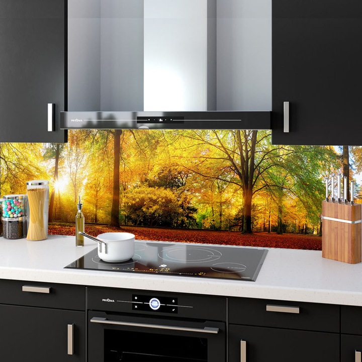 Комплект от 2 декоративни панела от закалено стъкло за кухня, защита за печка, защита срещу пръски, oct035 200x60cm