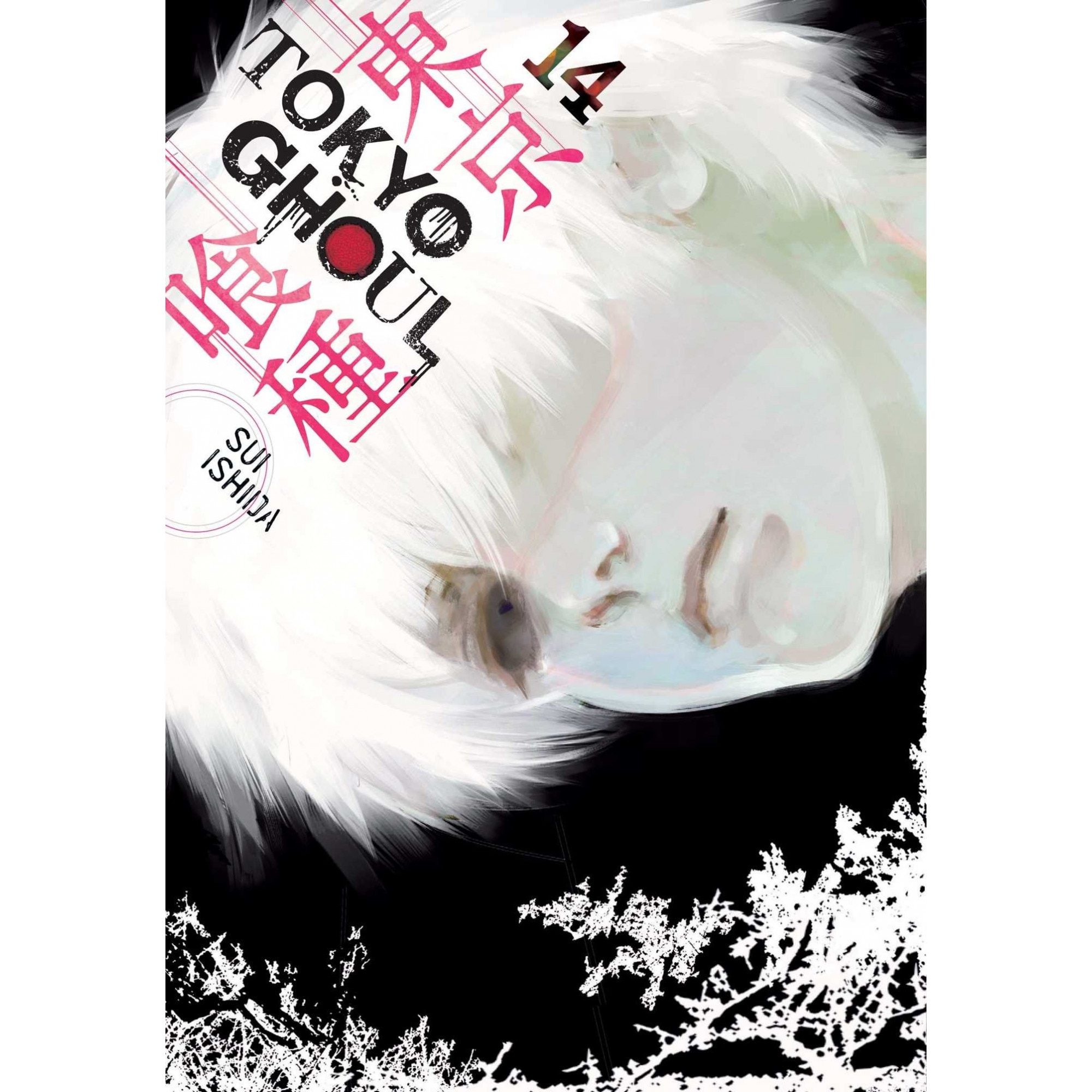 Tokyo Ghoul, Vol. 14 - Sui Ishida