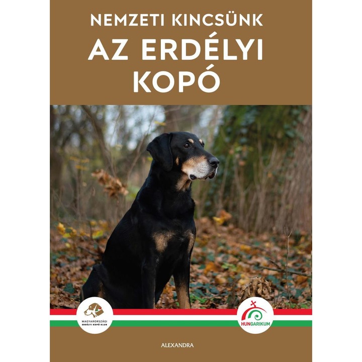Alexandra: Az erdélyi kopó