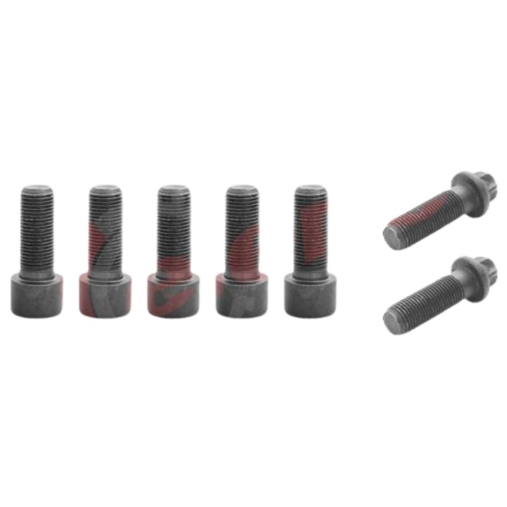 Set suruburi etrier PAN19-2, PAN22-2