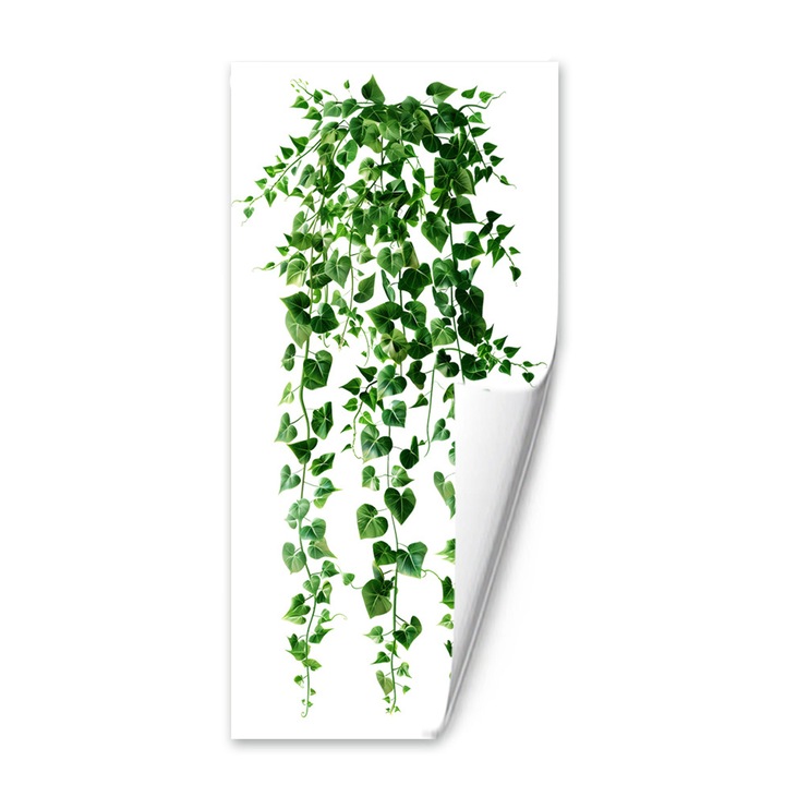 Sticker Decorativ Feicaeesa, Vitis verde​, Autoadezive, Perete, 60x30cm