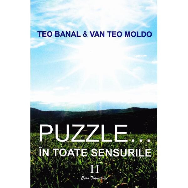 Puzzle... In toate sensurile vol.2 - Teo Banal, Van Teo Moldo