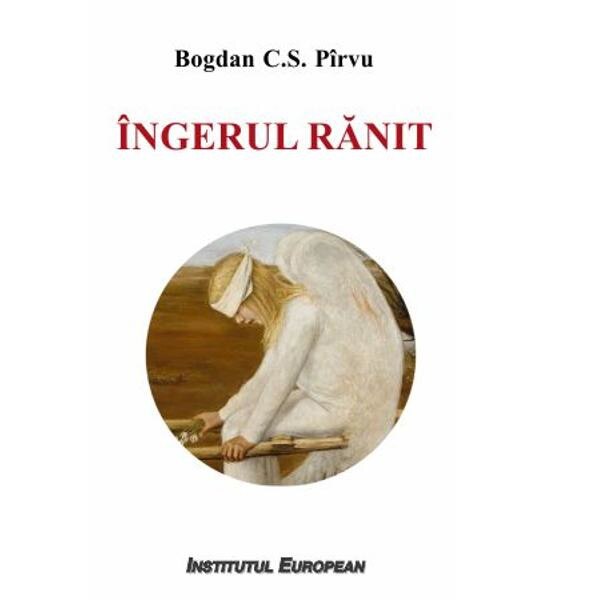 Ingerul ranit - Bogdan C.S. Pirvu