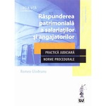Raspunderea Civila Pentru Malpraxisul Profesional Lacrima Bianca Luntraru Emag Ro