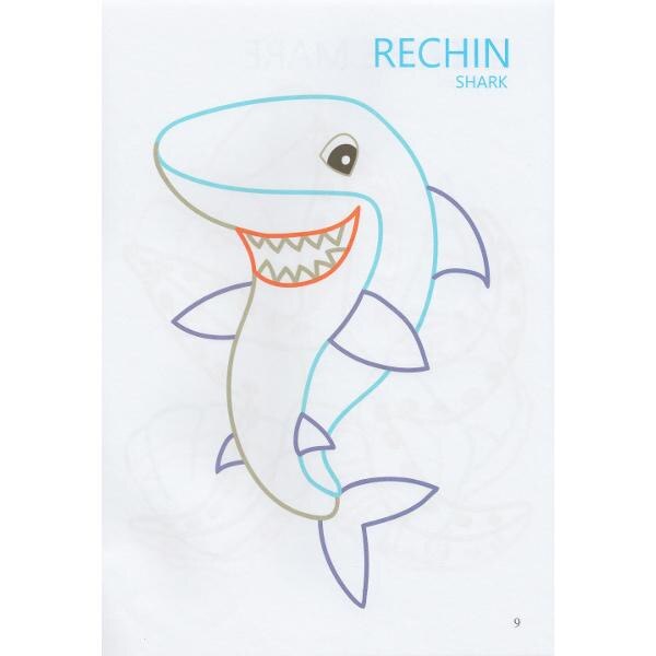 Colorez: Paradisul acvatic