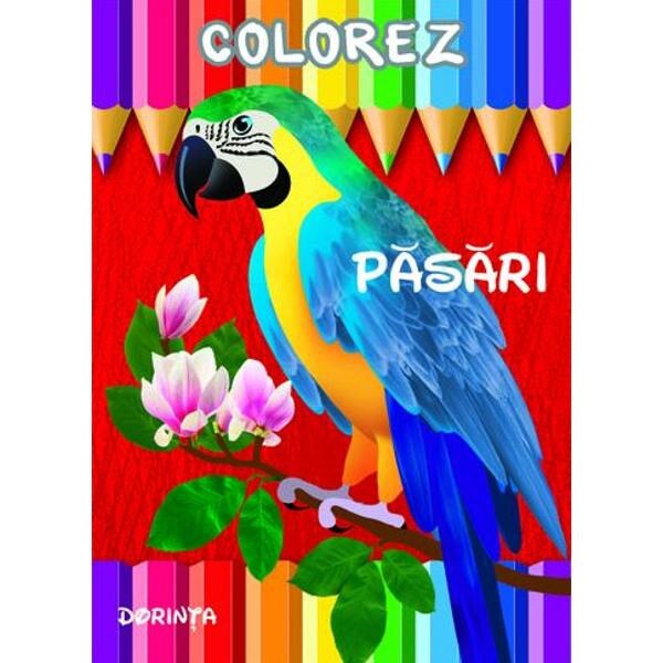 Colorez: Pasari