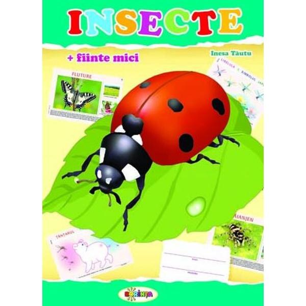 Insecte (mapa) - Inesa Tautu
