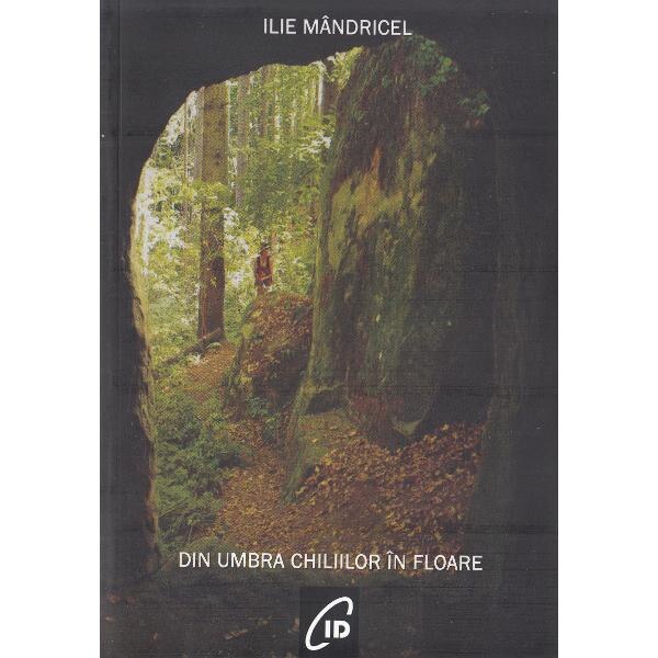 Din umbra chiliilor in floare - Ilie Mandricel