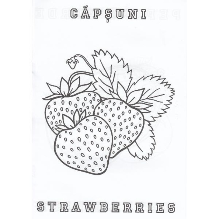 Fructe A4 - Carte de colorat