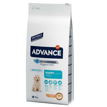 Hrana uscata pentru caini Advance Maxi Puppy Protect, 12 Kg Hrana uscata pentru caini Advance Maxi Puppy Protect, 12 Kg