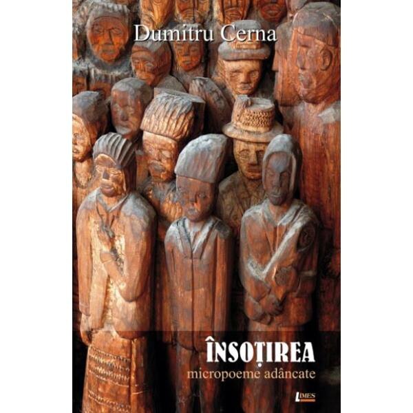 Insotirea - Dumitru Cerna