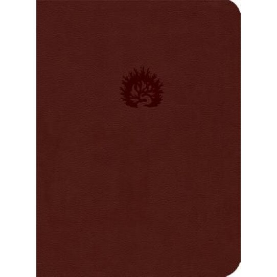 Reformation Study Bible-ESV, R. C. Sproul (Editor)