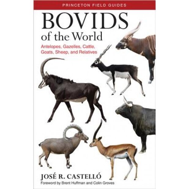 Bovids of the World: Antelopes, Gazelles, Cattle, Goats, Sheep, and Relatives, Jose R. Castello (Author)