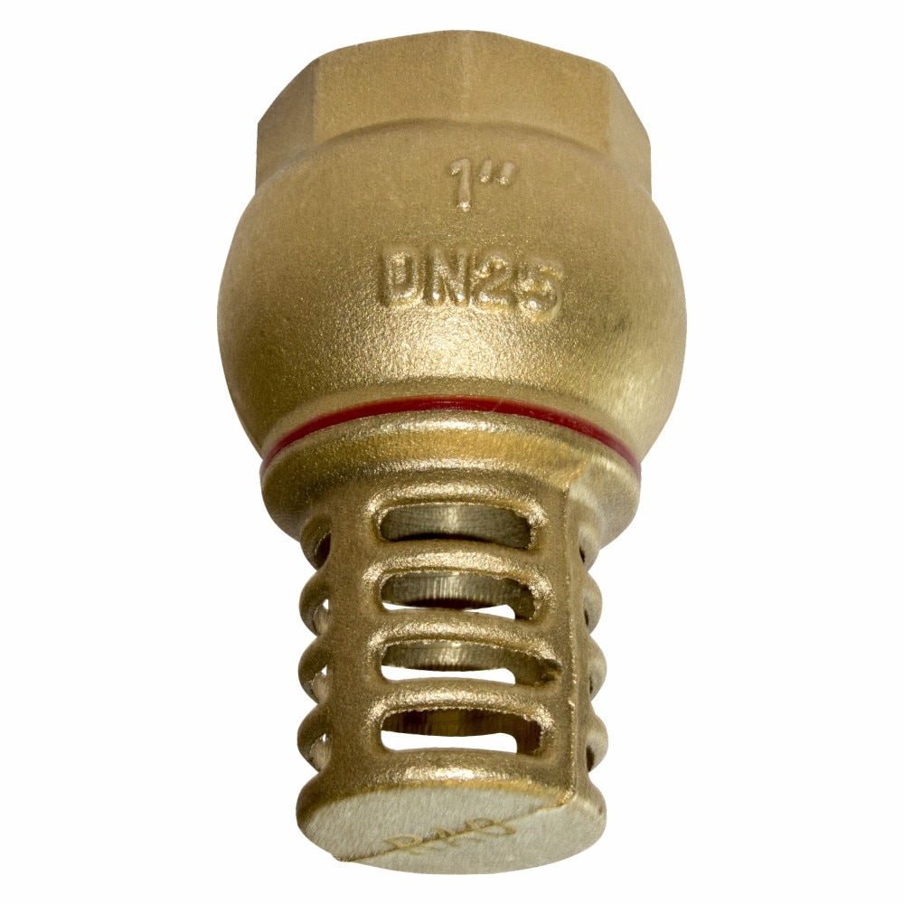 Sorb alama, 1, Raodyne