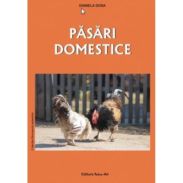 Pasari domestice - Daniela Dosa