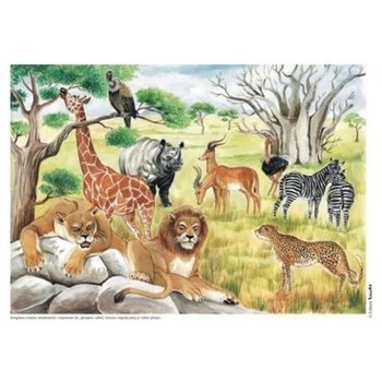 Vietuitoare si mediul lor de viata - Planse - Cerchez Adrian Vietuitoare si mediul lor de viata - Planse - Cerchez Adrian