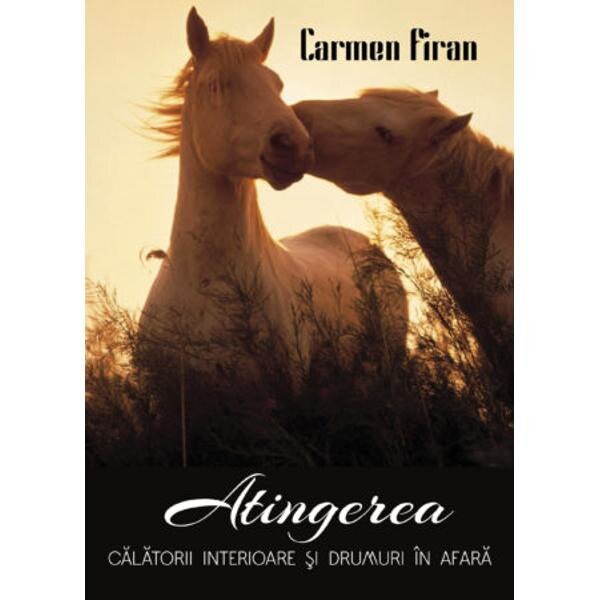 Atingerea - Carmen Firan