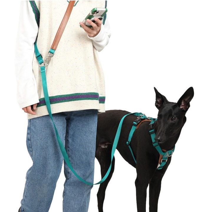 Multi-functie lesa caine HiDERAM, 4 moduri de utilizare,108-220 cm Ajustare libera, Permisi doi caini, Usor de purtat, Nylon si piele, Cyan