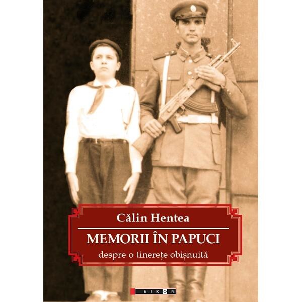 Memorii in papuci - Calin Hentea