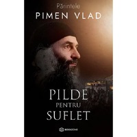 Pilde pentru suflet - Vlad Pimen