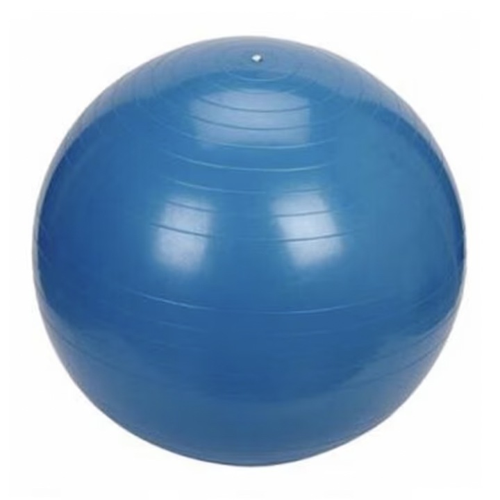 Minge gonflavila pentru gimnastica, fitness si recuperare - 55 cm, Albastru