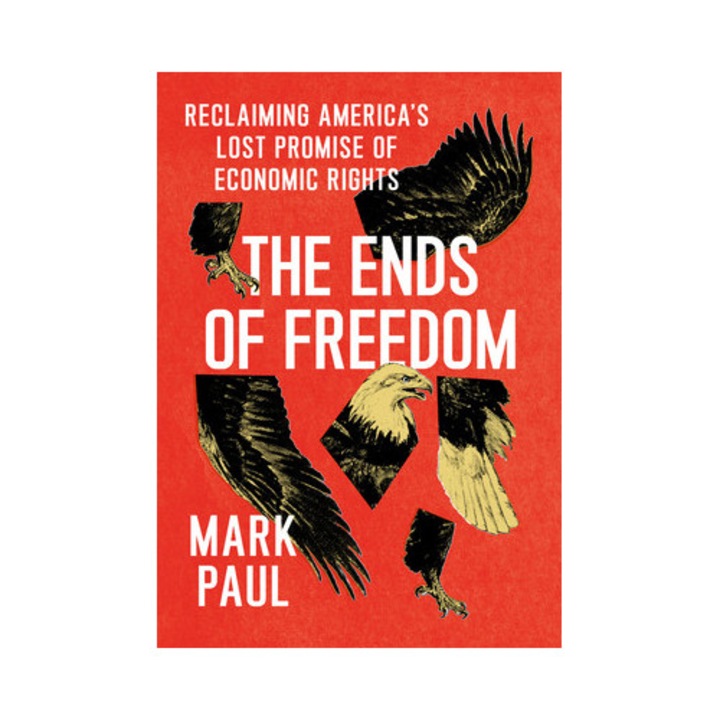 The Ends Of Freedom: Reclaiming America's Lost Promise Of Economic Rights - Mark Paul