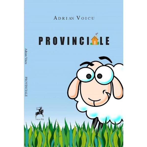 Provinciale - Adrian Voicu