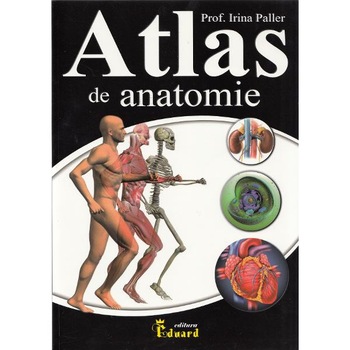Atlas de anatomie - Irina Paller Atlas de anatomie - Irina Paller