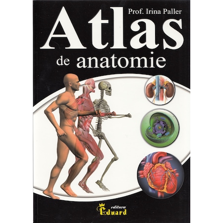 Atlas De Anatomie - Irina Paller