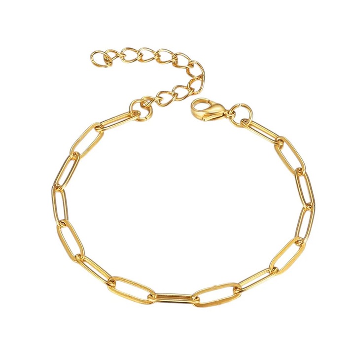 Bratara aurie, din otel inoxidabil, suflata cu aur 18k, cu zale delicate, Jimmy C6