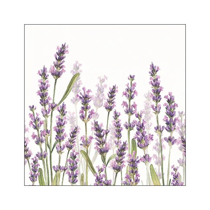 Servetele masa 33x33cm Lavender shades white FSC Mix