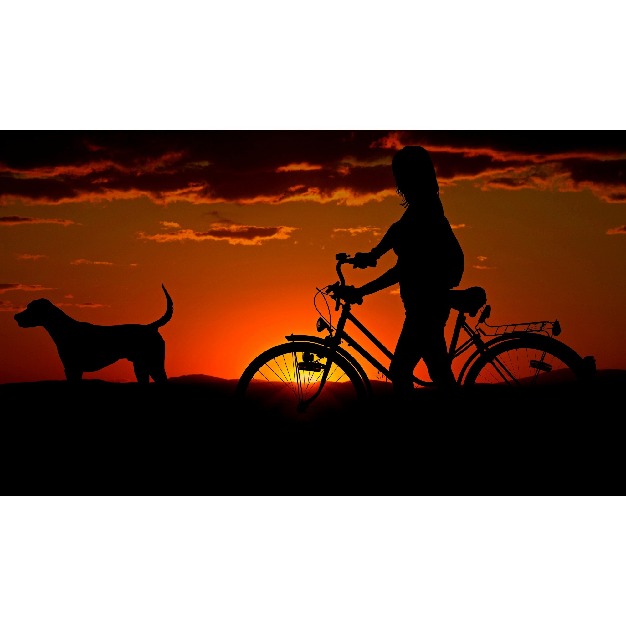 Tablou canvas - Apus, 60 X 90