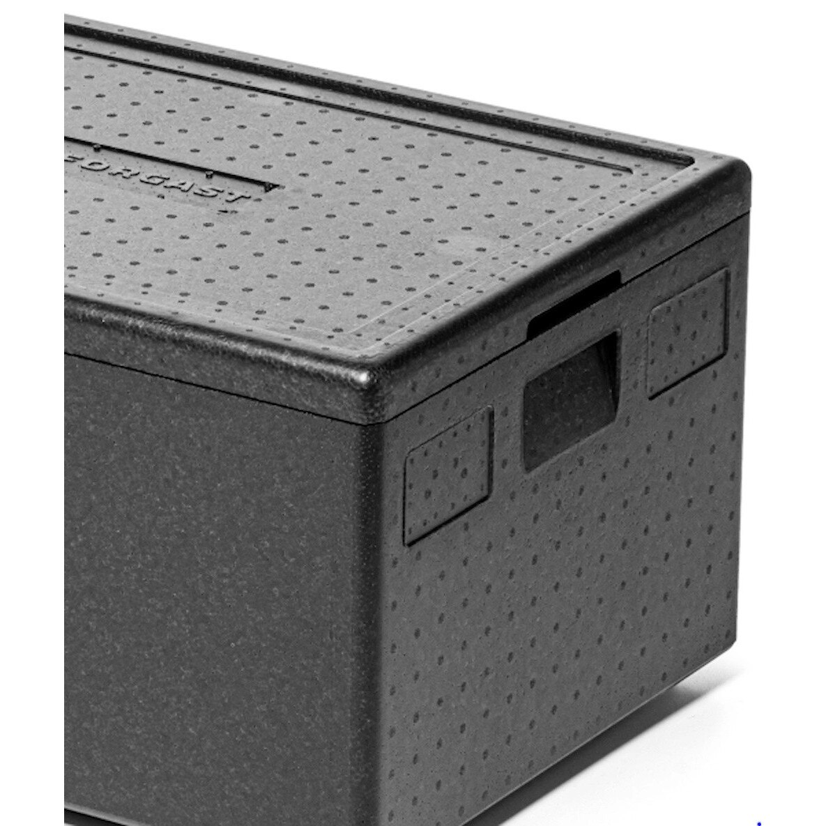 Container Negru Container izolat, Forgast, Negru, Dimensiuni 68.5x48.5x36.5 cm ...