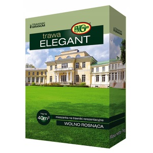 Bulbi, seminte si rasaduri