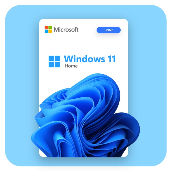 Windows 11 Home USB licenc