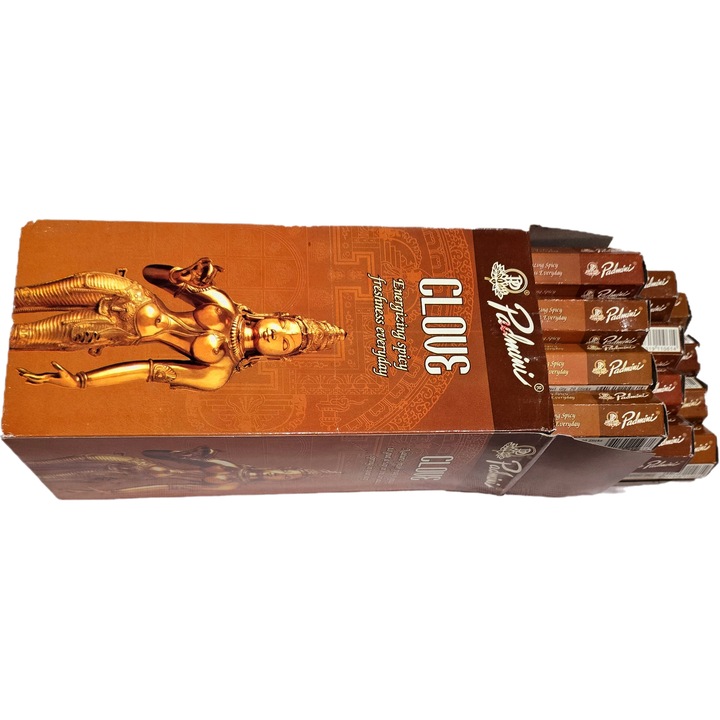 Szegfűszeg illatú pálcikák szett 12 doboz, Padmini, 240 db