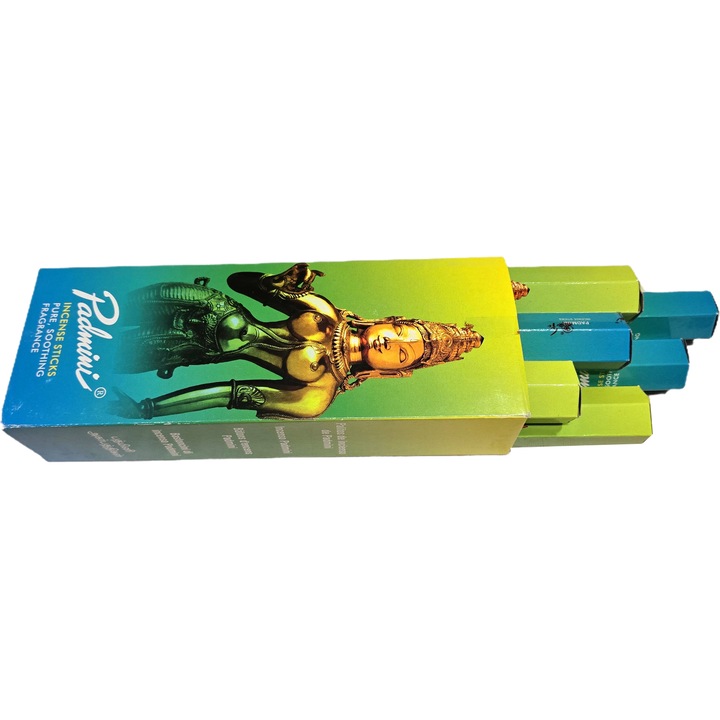Set betisoare parfumate Padmini 6 cutii, Padmini, 120 buc