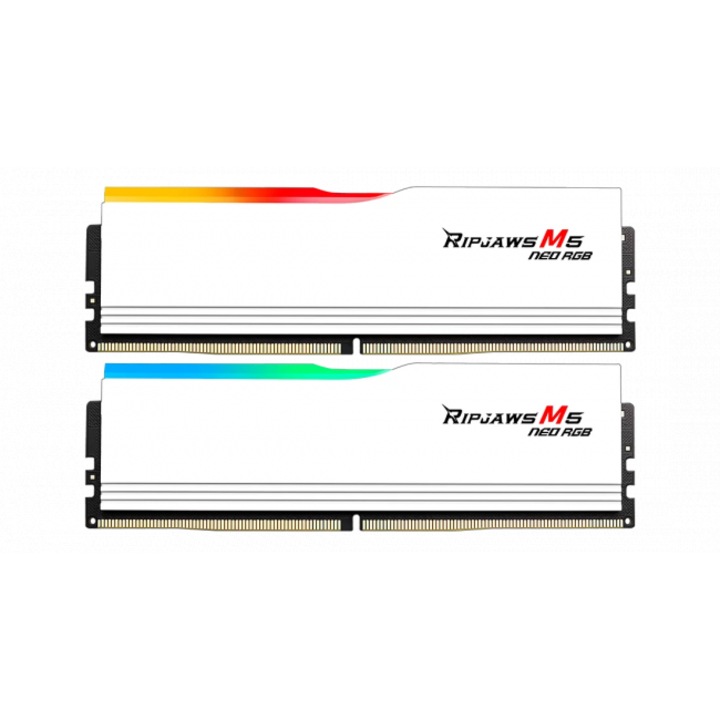 メモリー G.SKILL Ripjaws M5 RGB DDR5 48GBx2 96GB G.SKILL Ripjaws M5 RGB Series DDR5 RAM (Intel XMP 3.0) 96GB