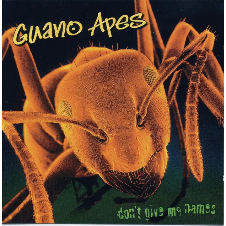 Guano Apes - Don't Give Me Names - Vinyl