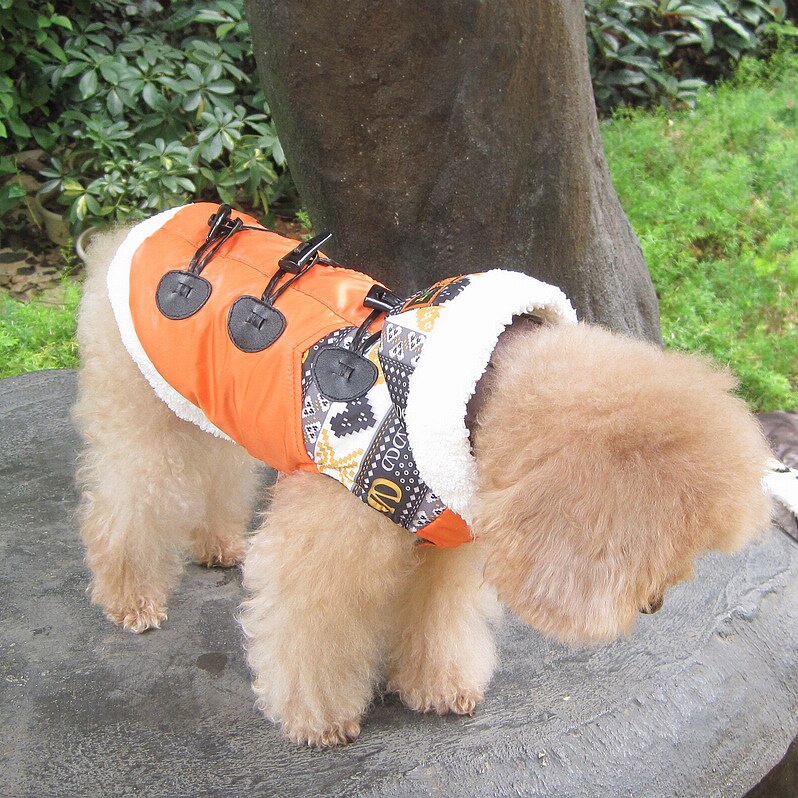 Canadiana Meiqi Collection MQ-08141, 25 - 29 cm, Portocaliu