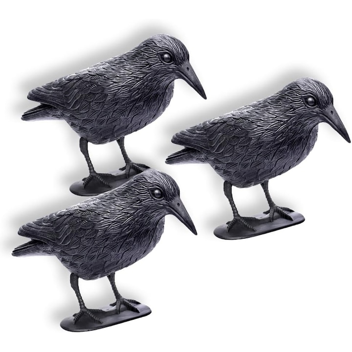 Set 3 Ciori Realiste de Dimensiuni Mari, pentru alungare Porumbei, Enforose