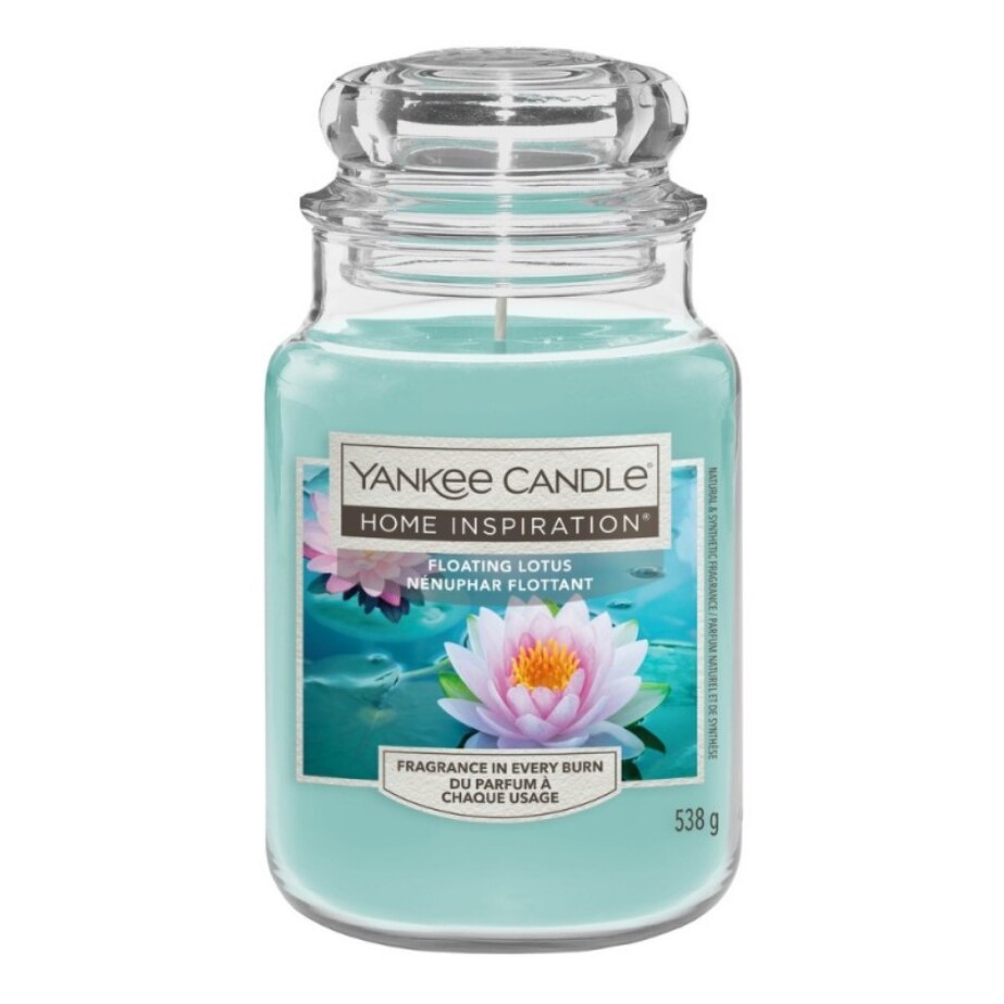 bogenhanf zeylanica Bogenhanf | kaufen main image 0