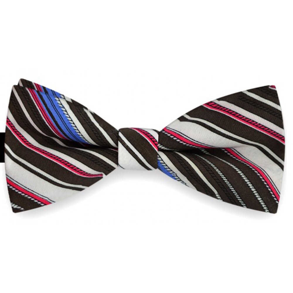 Papion barbati multicolor, clasic, model dungi