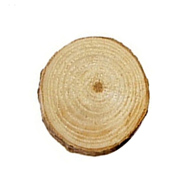 Set 100 discuri lemn mini pentru decor DIY, natural, 15x15x10cm