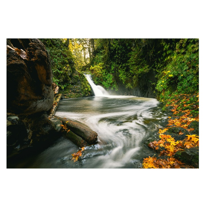 Картина на платно, „Водопади сред есенни листа“, река, водопад, гора, зеленина, есен, вода, поток, природа, зеленина, светлина, 54 x 39 cm