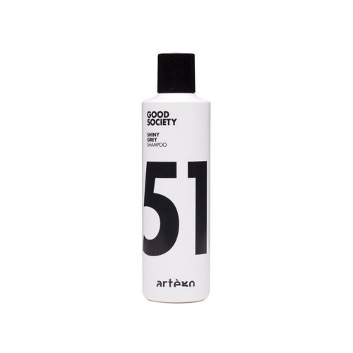 Sampon Artego Good Society Shiny Grey 250ml