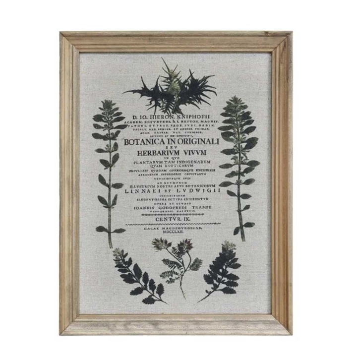 Tablou flori salbatice cu rama natur