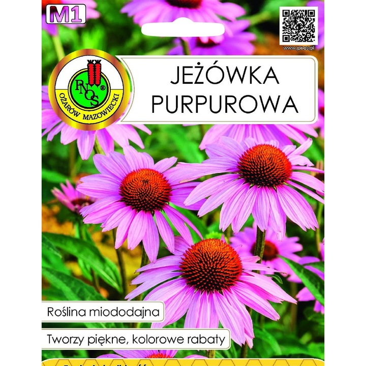 ЙЕЗОВКА ПУРПУРОВА, растение, розово-лилави цветове, 1 г