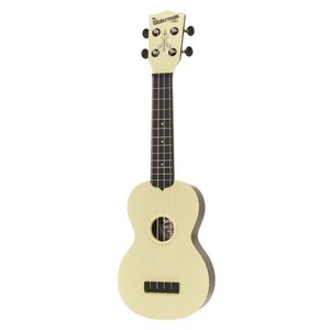 Instrumente cu coarde